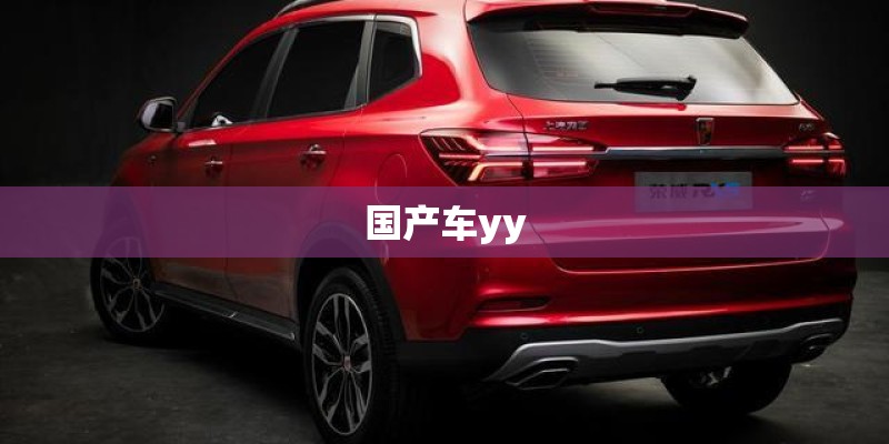 国产车yy