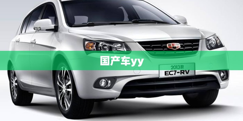国产车yy