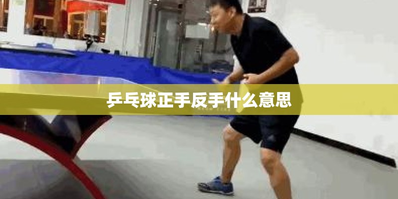 乒乓球正手反手什么意思