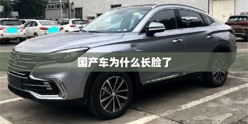 国产车为什么长脸了