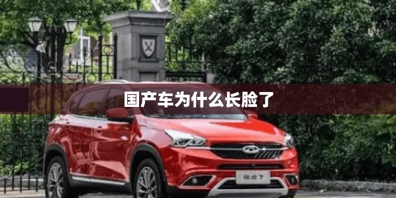 国产车为什么长脸了
