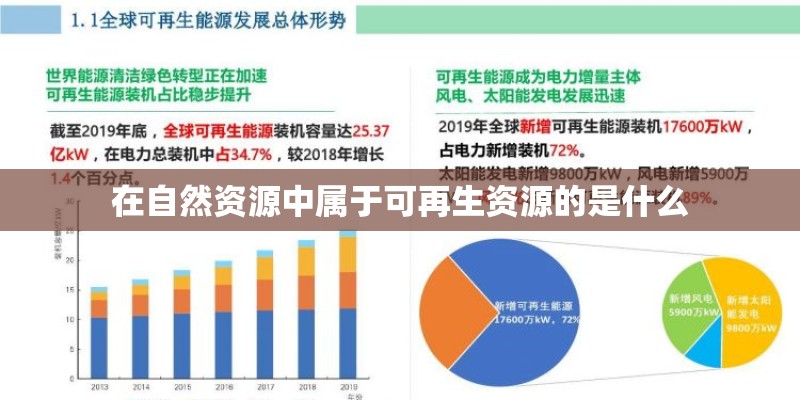在自然资源中属于可再生资源的是什么