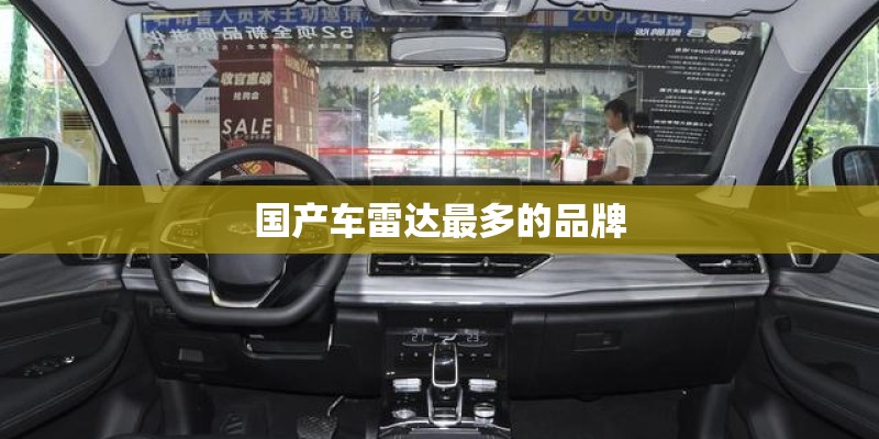 国产车雷达最多的品牌