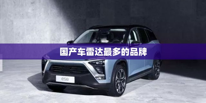 国产车雷达最多的品牌