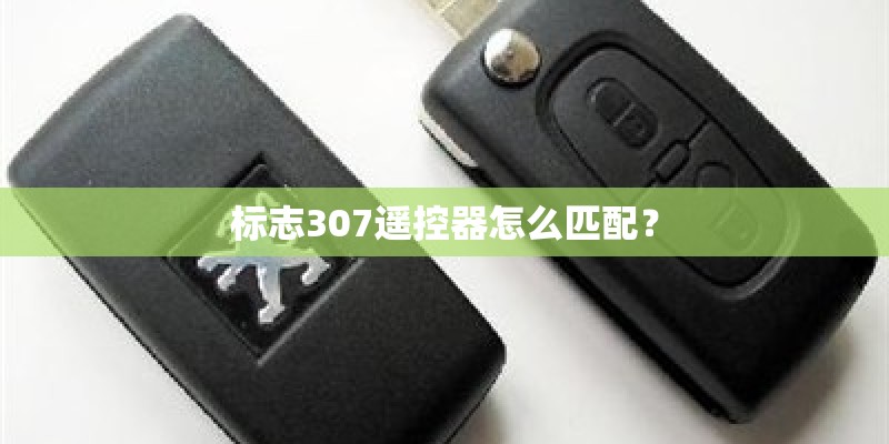标志307遥控器怎么匹配？