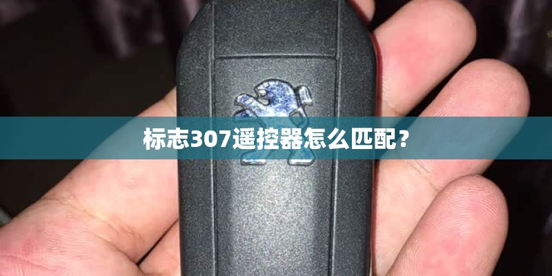 标志307遥控器怎么匹配？
