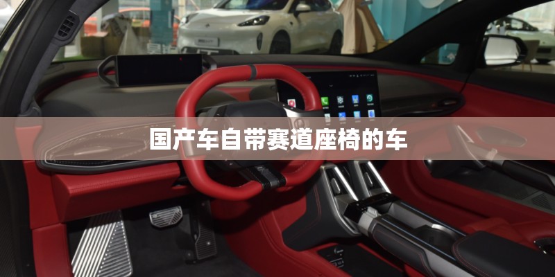 国产车自带赛道座椅的车
