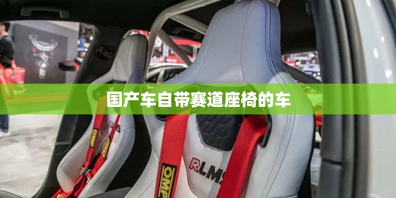 国产车自带赛道座椅的车