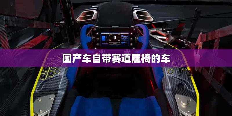 国产车自带赛道座椅的车