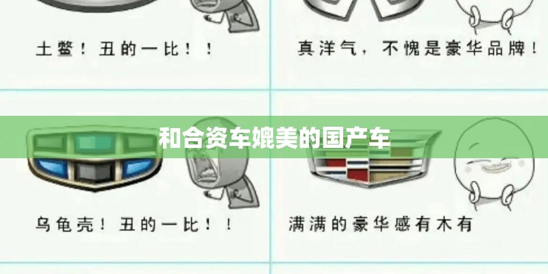 和合资车媲美的国产车