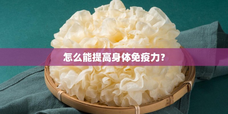 怎么能提高身体免疫力？