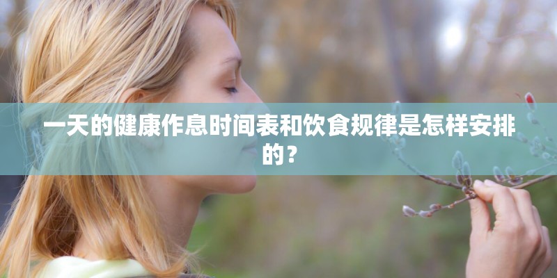 一天的健康作息时间表和饮食规律是怎样安排的？