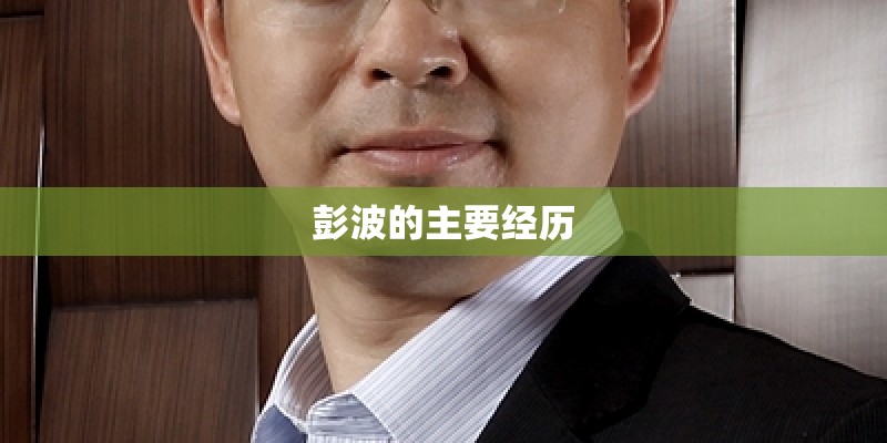 彭波的主要经历