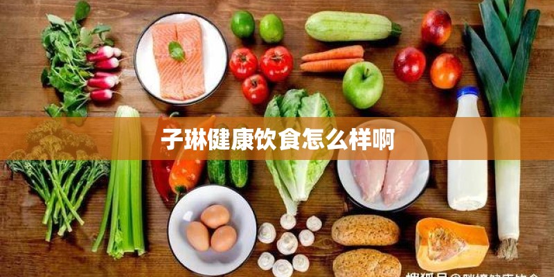 子琳健康饮食怎么样啊