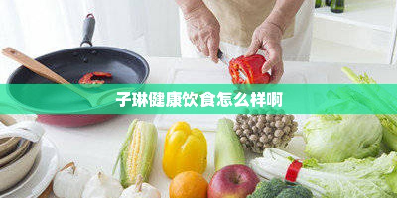 子琳健康饮食怎么样啊