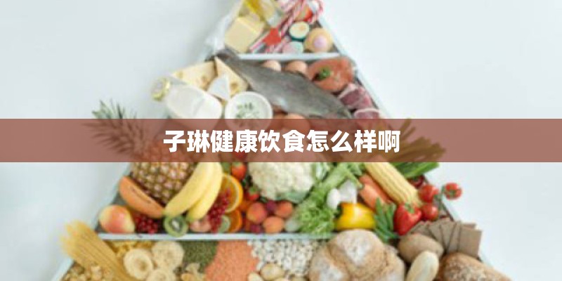 子琳健康饮食怎么样啊
