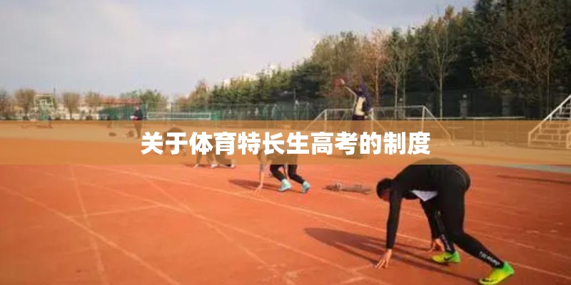 关于体育特长生高考的制度