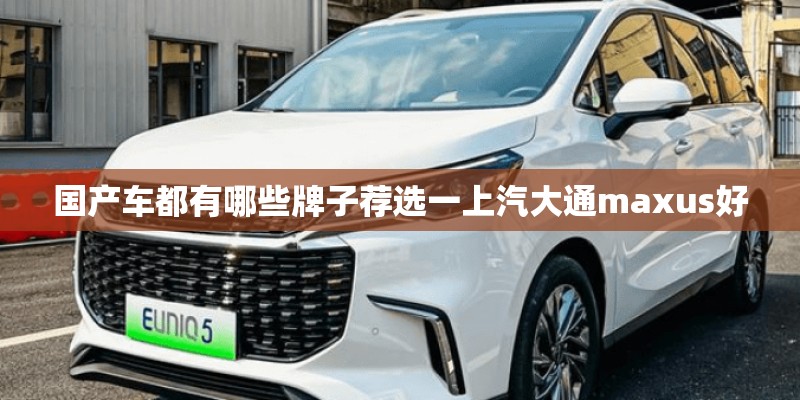 国产车都有哪些牌子荐选一上汽大通maxus好 国产车都有哪些牌子荐选一上汽大通maxus好