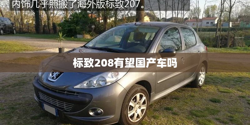 标致208有望国产车吗