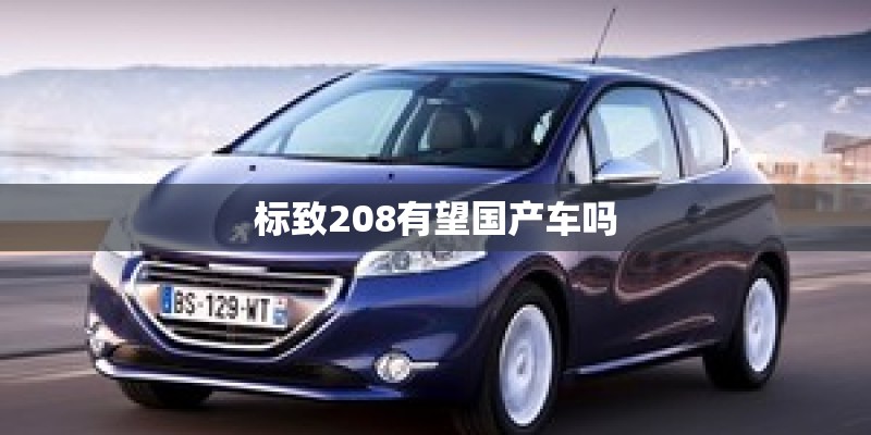 标致208有望国产车吗
