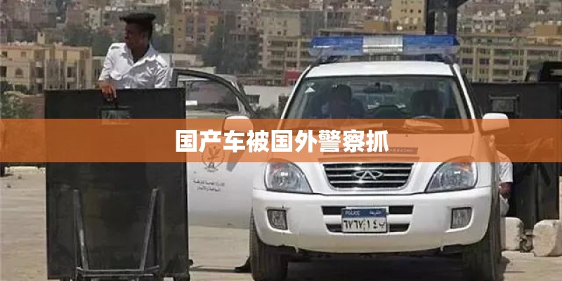 国产车被国外警察抓