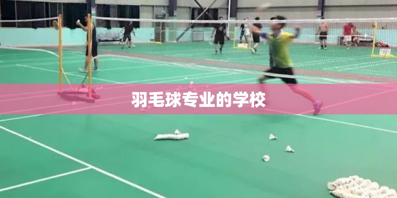 羽毛球专业的学校