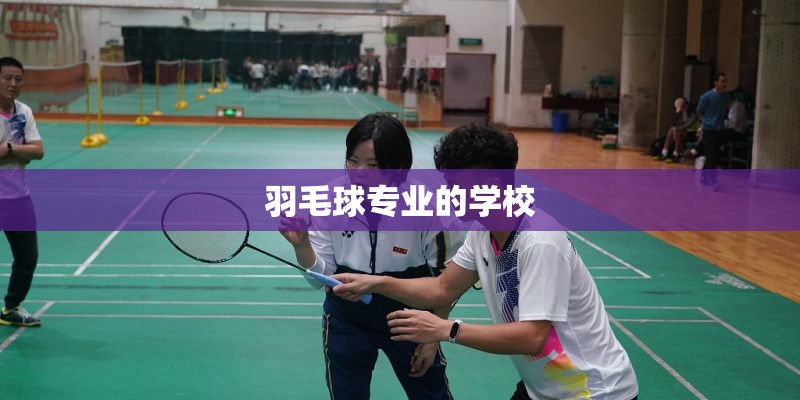 羽毛球专业的学校