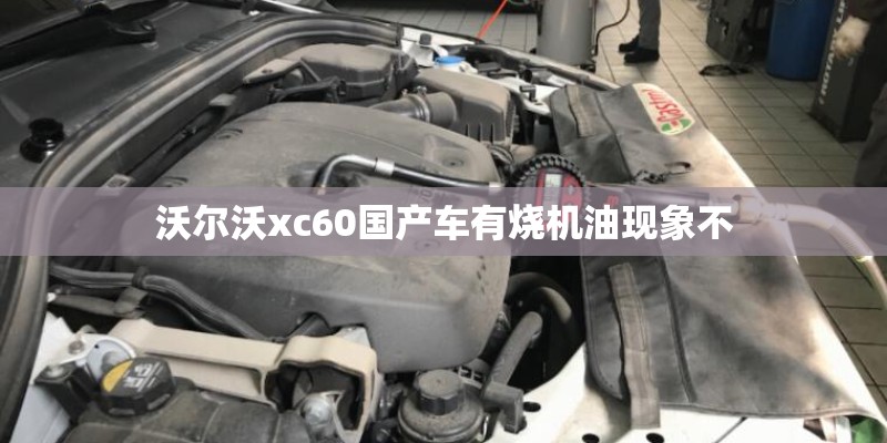沃尔沃xc60国产车有烧机油现象不