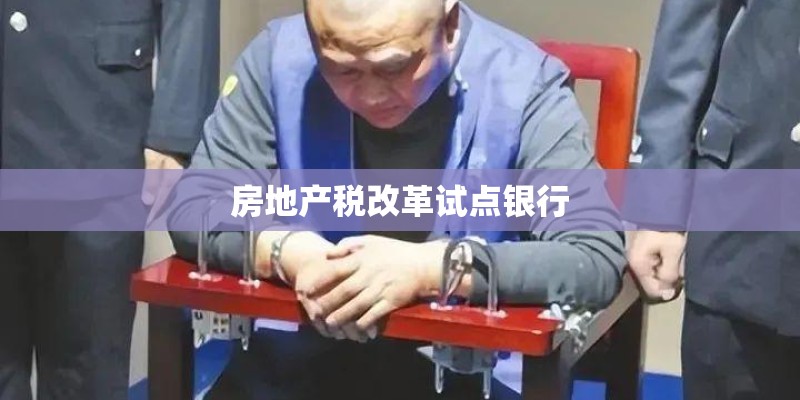 房地产税改革试点银行