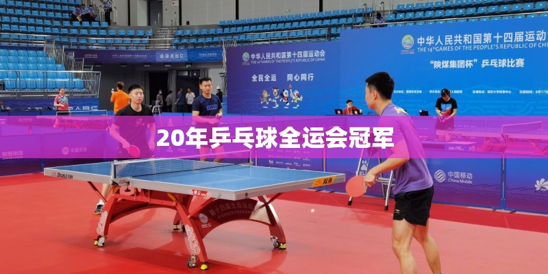 20年乒乓球全运会冠军