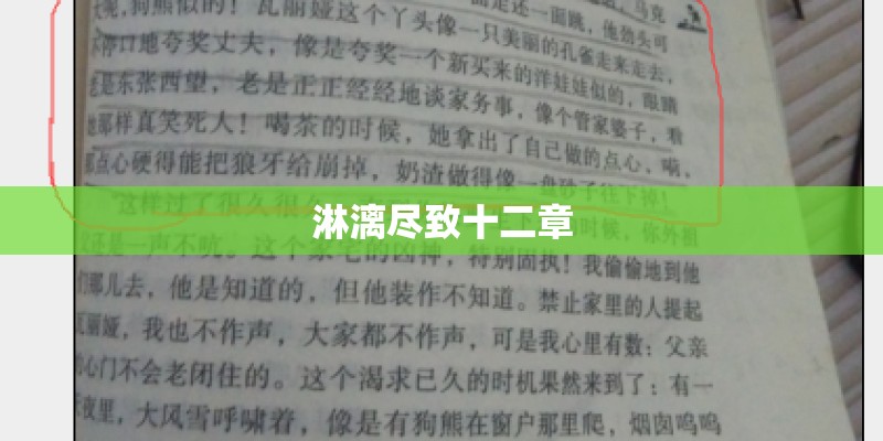 淋漓尽致十二章