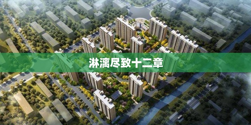 淋漓尽致十二章