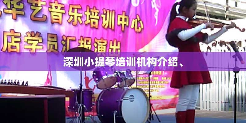 深圳小提琴培训机构介绍、