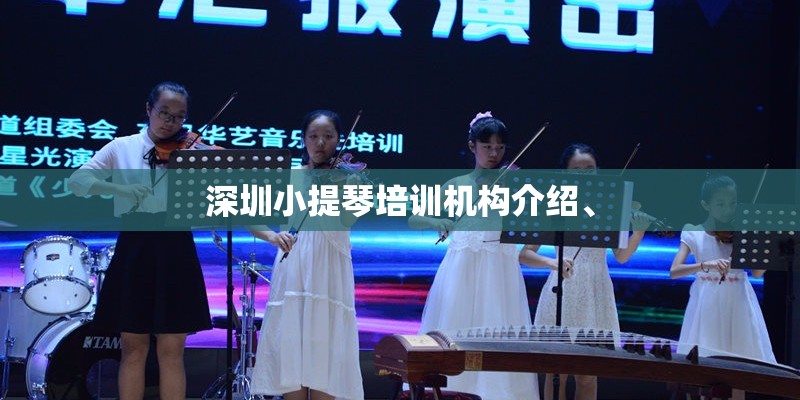深圳小提琴培训机构介绍、