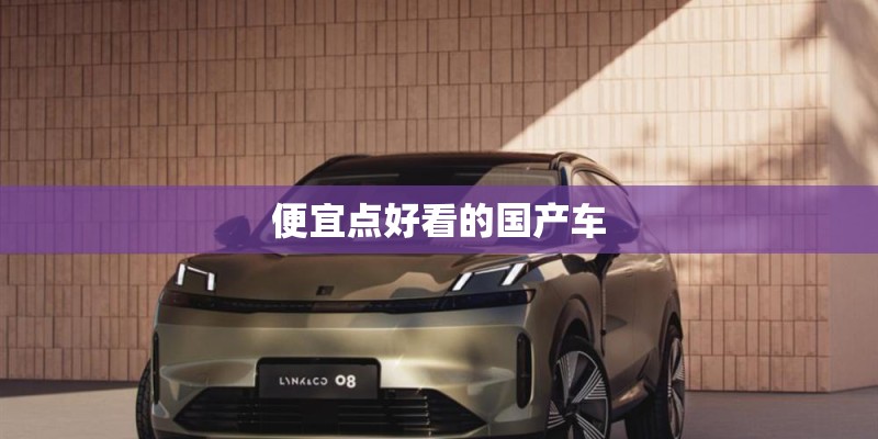 便宜点好看的国产车