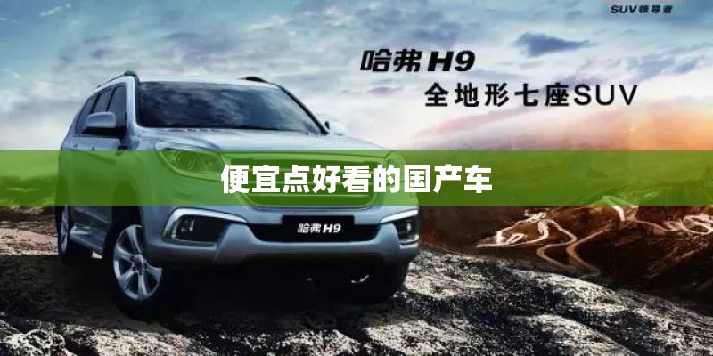 便宜点好看的国产车