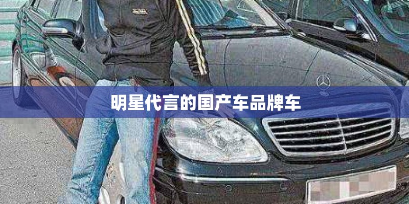 明星代言的国产车品牌车