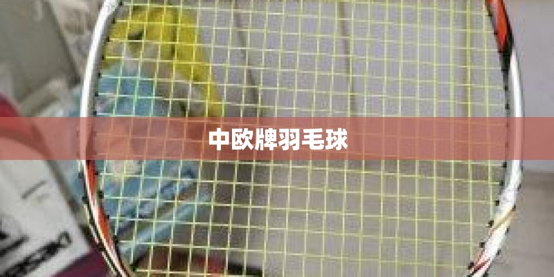中欧牌羽毛球