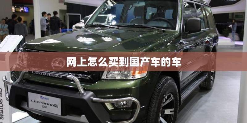 网上怎么买到国产车的车
