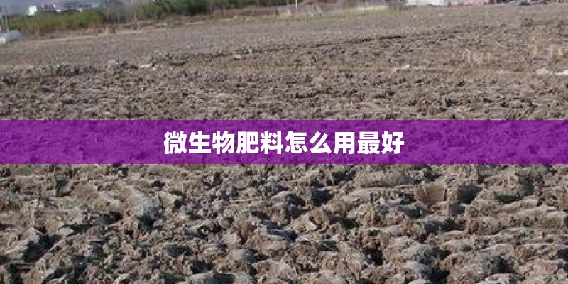 微生物肥料怎么用最好