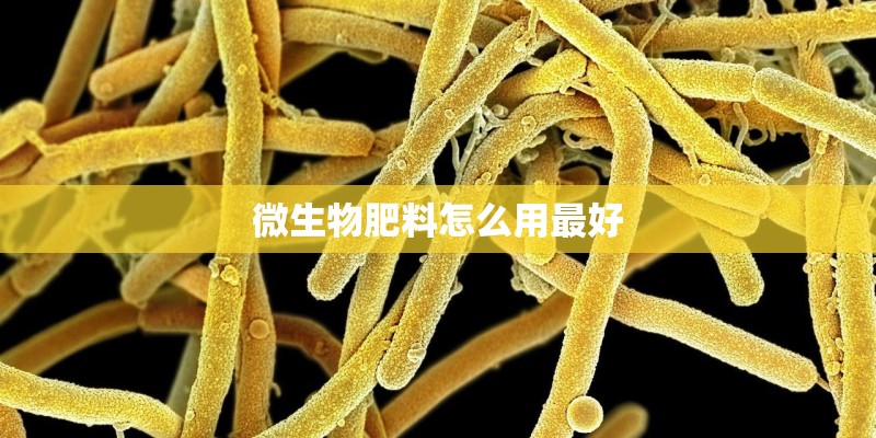 微生物肥料怎么用最好
