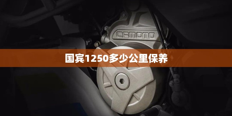 国宾1250多少公里保养
