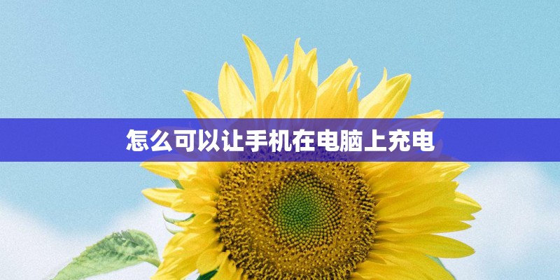 怎么可以让手机在电脑上充电