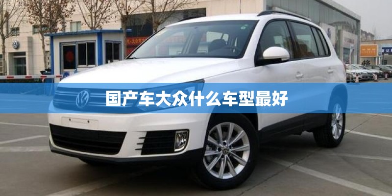 国产车大众什么车型最好