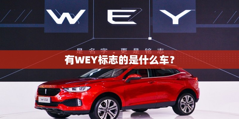 有WEY标志的是什么车？