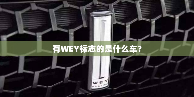 有WEY标志的是什么车？