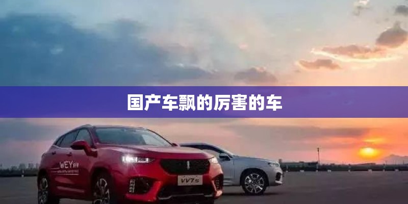 国产车飘的厉害的车
