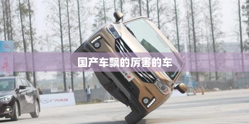 国产车飘的厉害的车
