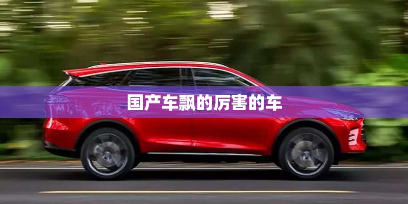 国产车飘的厉害的车