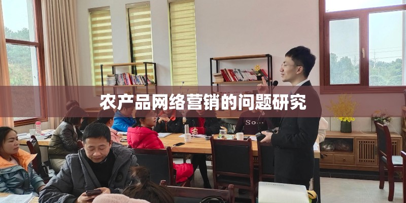 农产品网络营销的问题研究